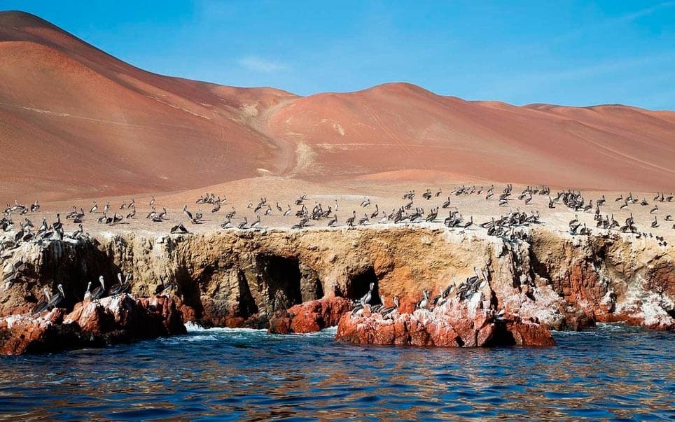 Ballestas Islands
